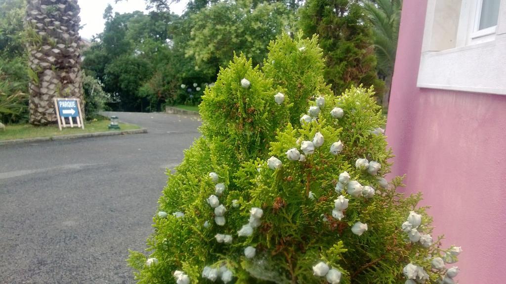 Hotel Quinta De Sao Francisco Sintra Zewnętrze zdjęcie